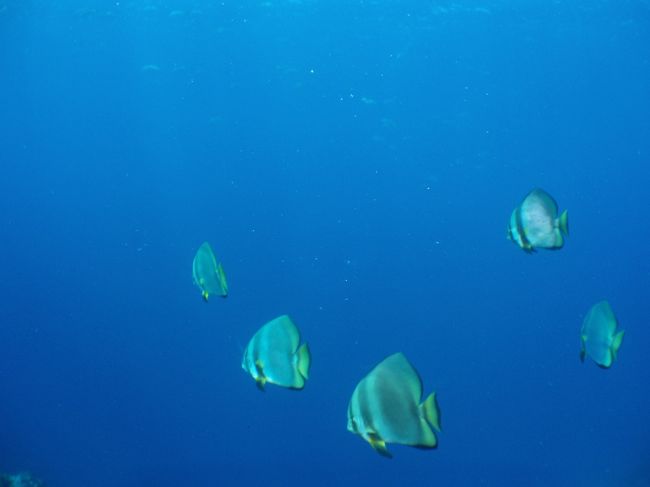 ヒルトゥガンにて