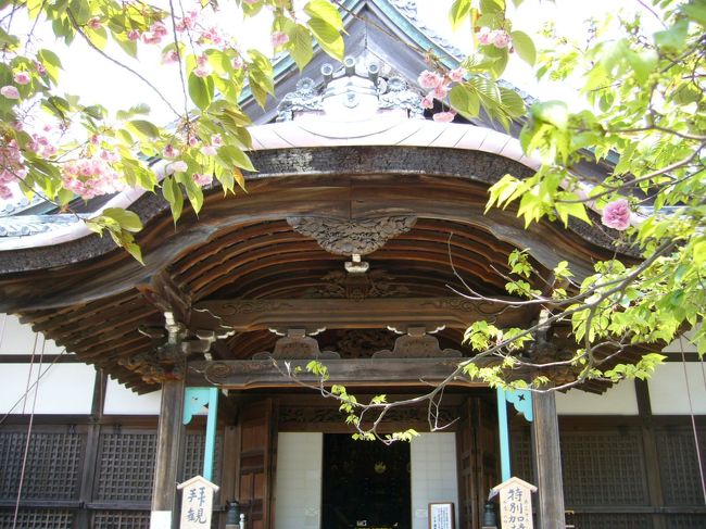 【本丸跡】には、<br /><br />1961年に京都から移築された【瑞龍寺】が。<br /><br /><br />豊臣秀次のお母様が開山した、秀次の菩提寺です。