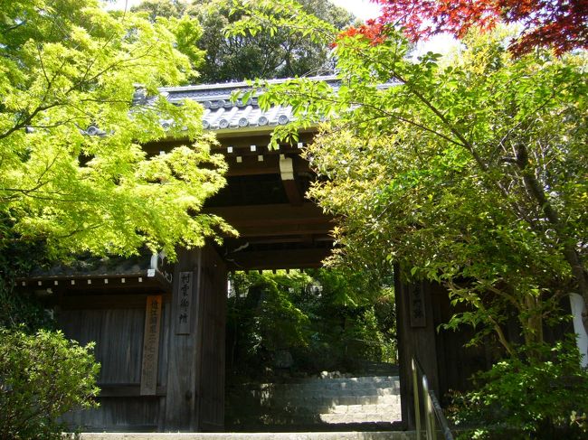 山門。<br /><br />若葉が綺麗ですが、秋は見事な紅葉が見られるそうです。<br /><br />