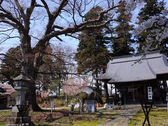 しばらく走ると、白山神社の境内に出た。そこには、穏やかな気配が漂っていたので、ここで旅の無事を祈願することにした。拝殿の前にあった大きな樹は、鎌倉初期、この地を治めた大須賀氏が屋敷をここに構えた時に植えられたもので、植えた年まで分かっているそうである。この白山神社も、屋敷鎮守として勧請されたものだそで、そのまま土地の鎮守として祀られて来たそうである。