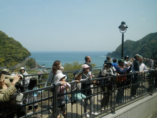 そうなの！<br />ここ餘部は鉄橋が変わったとはいえ<br />絶景は変わらないの！<br />その人気はこの有象無象達で<br />おわかりいただけると思うの。