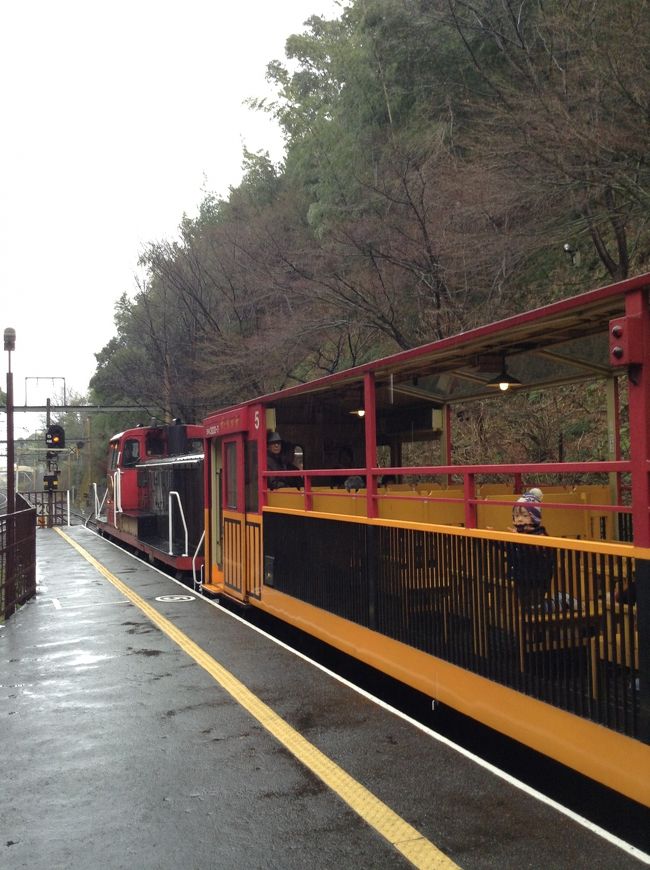 嵯峨野では地図上で集合場所を示されただけで解散、自由散策。<br />思ったよりまわれてよかったです。