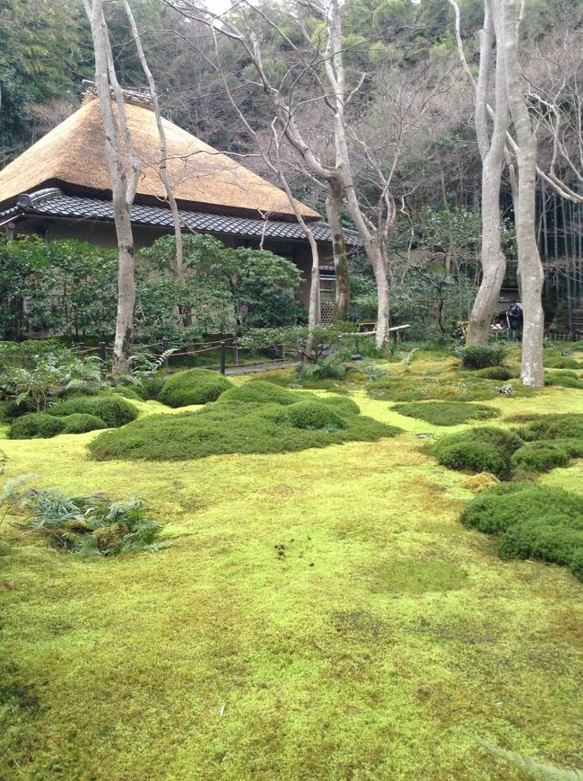 祇王寺<br />お庭がとてもきれいでした。<br />祇王寺のすぐ上には新田義貞のお墓があるという雨漏りしているお寺がありました