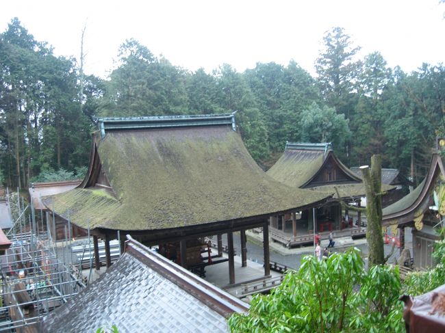 東本宮本殿は修復中。<br />修復といっても新しく立てている感じ