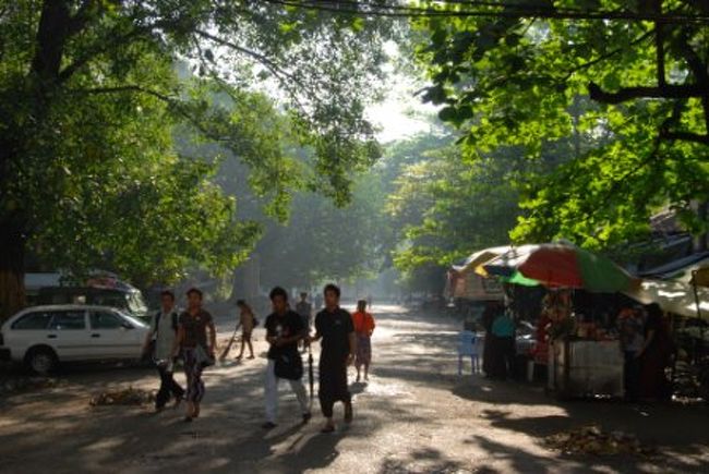 夜の雰囲気と打って変わって明るい日差しと豊かな緑で清々しい雰囲気。