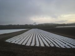 感動のスタートを終えると、しばらく野辺山ののどかな農村地帯を走ります。
奥に見えるのは、国立宇宙電波観測所ですね。