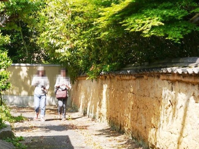 奈良には通い詰めたメンバーばかり。<br />迷うことなく勝手知ったる小径を辿って早速奈良モード。<br /><br />同行メンバーはコクリコさん、はな☆さん、NODAさん。