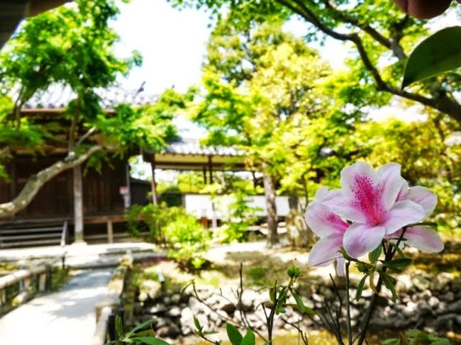 御本尊と十二神将を見てから香薬師へ。<br />浅見光彦が行方不明になった本物の香薬師をみつけたとか・・・<br />いや、それはテレビドラマの話。<br />