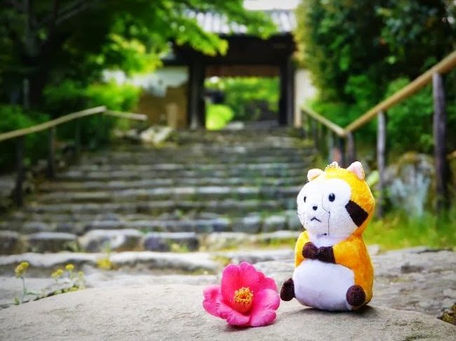 背中から「また何かやってるよ」という声が聞こえてきたような(^^;