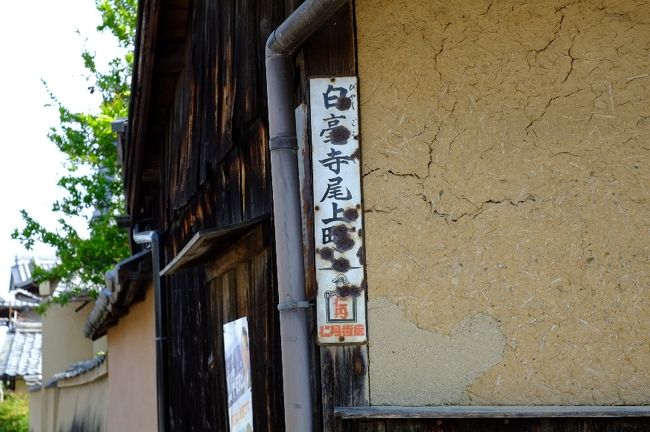 最初の目的地は白毫寺です。<br />JR奈良駅前からバスに乗り、高畑住宅前で降車。<br />白毫寺までは、ここから緩い上り坂を歩くこと１５分ぐらいでしょうか。<br />途中には、こんな古ぼけた味のある住所表示があったり、<br />