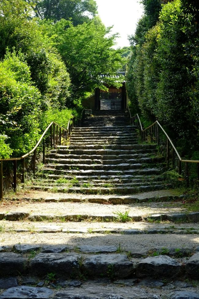 白毫寺の境内へとつづく石段です。<br />お彼岸頃に訪れると、石段の両側が萩で覆われてそれは見事なのですが、萩の季節でなくても、とてもいい雰囲気です。