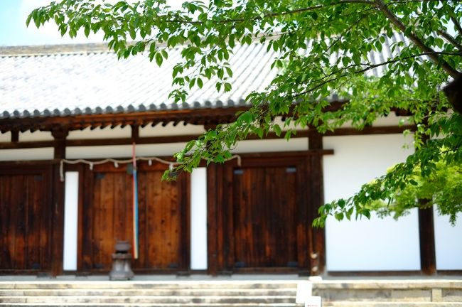 堂内には、本尊の薬師如来像と本尊を囲むように奈良時代の十二神将像が安置されています。本堂を含めて全部国宝。<br />「バサラ大将以外はみんな変な顔してますよねえ」<br />「そうよねえ」<br />相変わらず仏さまの顔の話に花が咲くコクリコさんと私。