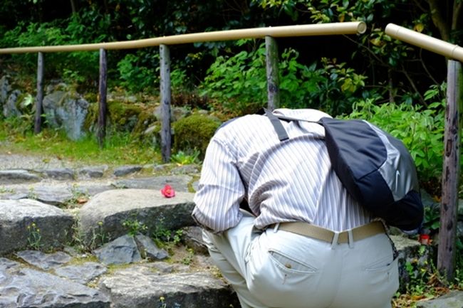 あれ、椿の花を石段に置いて撮影しているのは誰…？<br /><br />ふふふ、後ろ姿、みんなに撮られてますよ〜ん。