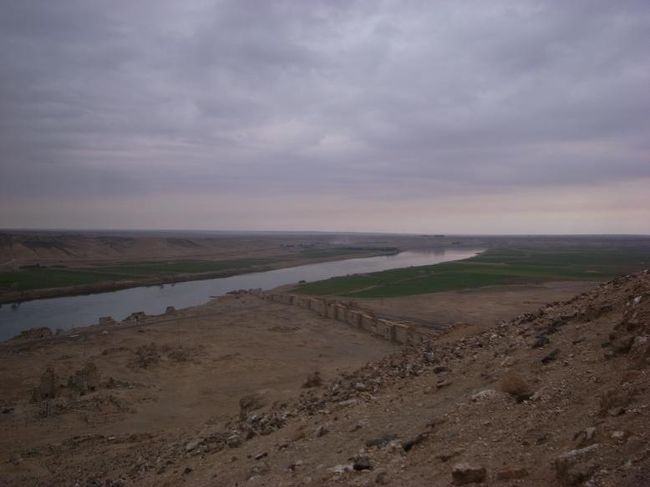 シリア便りVol.18~初春のユーフラテス川周辺の遺跡めぐりその2ハラビーヤ城