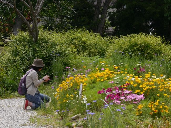 無論、少し長めの撮影タイム。<br />はな☆さんは単焦点レンズで頑張ってました。