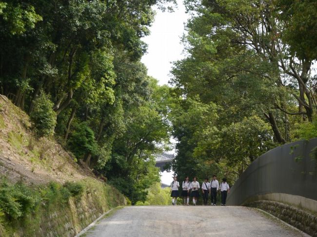 大仏殿の屋根がちらりと見えます。<br />こんな通好みの道を修学旅行生がやってくる。<br /><br />あの中に昔のコクリコさんや、かとくみさんのような奈良ラブの女子がいるに違いない。