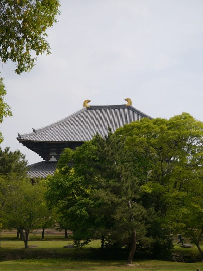 東大寺の境内を抜けて・・・