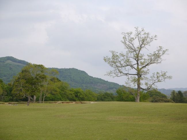 飛火野を横目で見ながら・・・