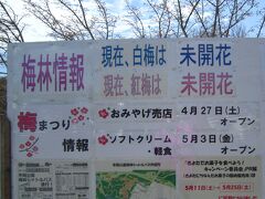 
●5月17日●　はれ


札幌の梅の名所『平岡公園梅林』

天気もいいし、咲いてるかな〜☆と

　　　期待をし・・・あれまぁ！

