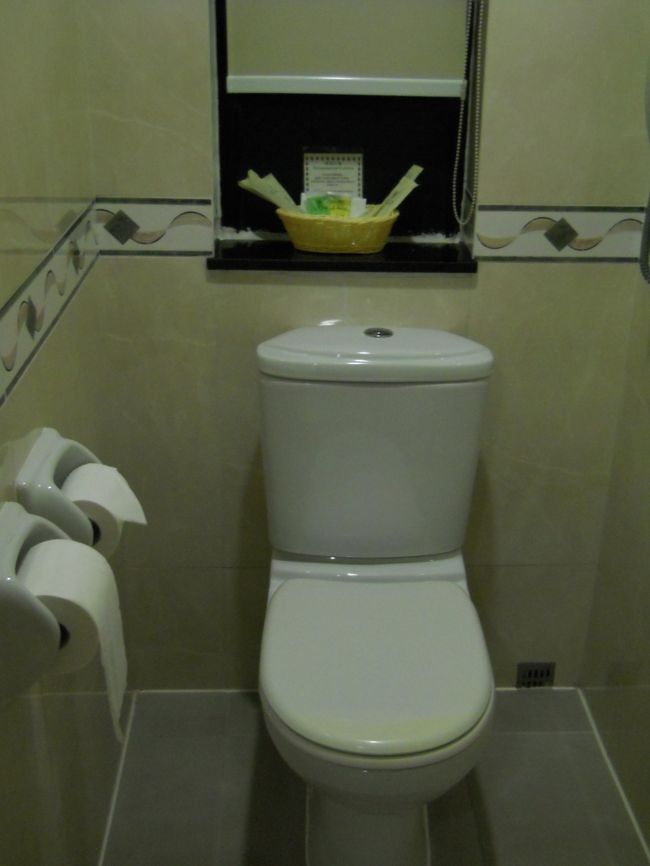 BOOKING.COMでシャムロックホテルを2泊。<br /><br />税・サ込でHKD1881。<br /><br />以前利用した事があるが今度の部屋は14平米と手狭。<br /><br />立地がいいから致し方ないです。