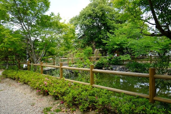 境内には大きな池もありました。<br />くつろげるお庭のようなところです。