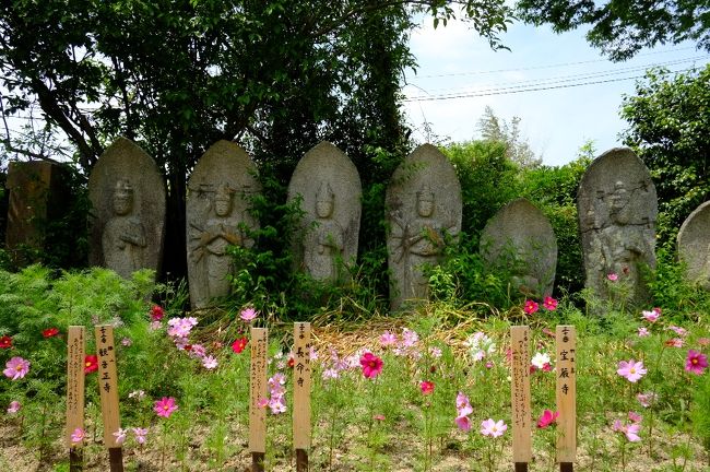 石仏＆春咲きコスモス<br /><br />すいません、あと何枚かこんな感じでつづきます。