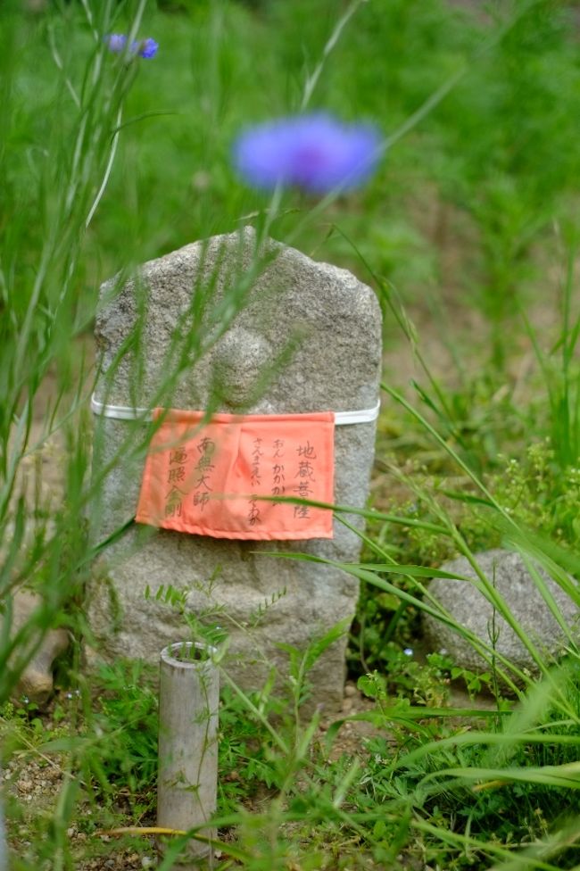 石仏＆矢車草<br /><br />すいません、もうちょっとです。