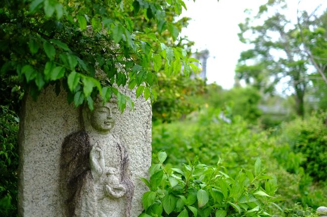 石仏＆緑の若葉<br /><br />