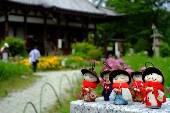 みんなで記念撮影。<br />いい顔してるなあ〜。