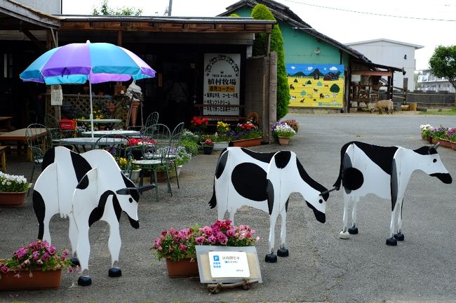 般若寺を出ると、お寺の前にある植村牧場さんへ迷わず直行する我々！<br />昼食が軽めだったので、デザートは必須でございます。<br />しぼりたてのミルクで作ったソフトクリームはさすがの美味しさでした。