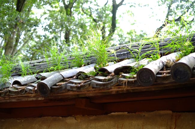 ふふふ〜、渋いでしょう。<br />ディープな奈良好きにはたまらない場所かと思ってチョイスしたのです。<br />瓦にも草が生えて…。こういう、ちょっと寂れた雰囲気にそそられるんですよねえ。