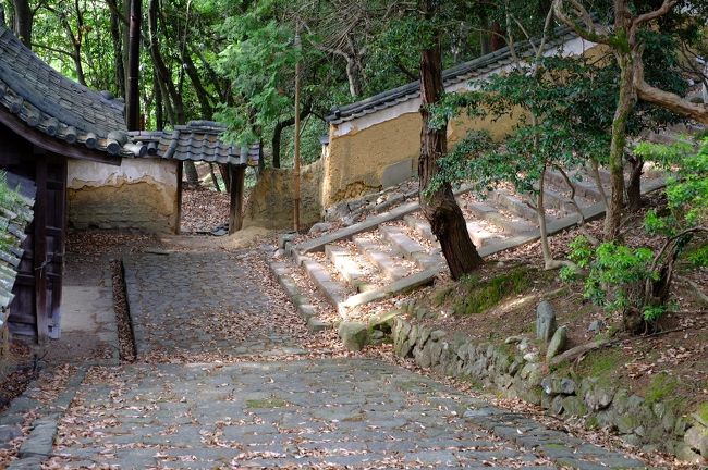 今にも崩れそうな塀ですが、どうか修復しないでくださいm(_ _)m