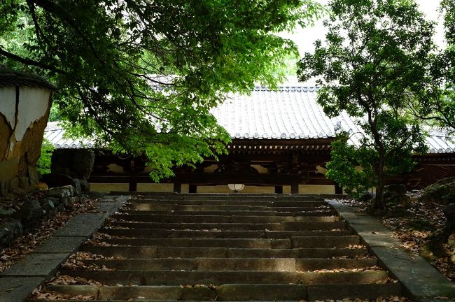 石段の先に、小さいですが端正なお堂がありました。<br />いつか奈良八重桜の咲く頃に、また訪れることができたらいいなあ。