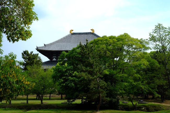 東大寺の境内を抜けて、本日最後の目的地のある、ならまち方面へ向かって歩きました。今日は一日中歩いていますが、楽しいので疲れもさほど気になりません。