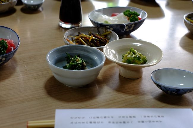 夕食は、吉野の蕗やわらび、セリなどを使った心づくしの手料理と、すばらしく美味しいお酒をいただきながらの歓談…。これ以上考えられないような最高のひとときとなりました。<br />１０年の時を経て実現したオフ会です。きっとずっと忘れないでしょう。<br /><br />ただひとつだけ心残りは、かとくみ隊長も参加していたら、さらに楽しい会になったでしょうということ。<br />だからきっと次もあるよね。口々にそう言いながら宿へと帰った、更けゆく晩春の夜でした。