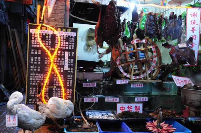 色んなものが食べられまーす…汗