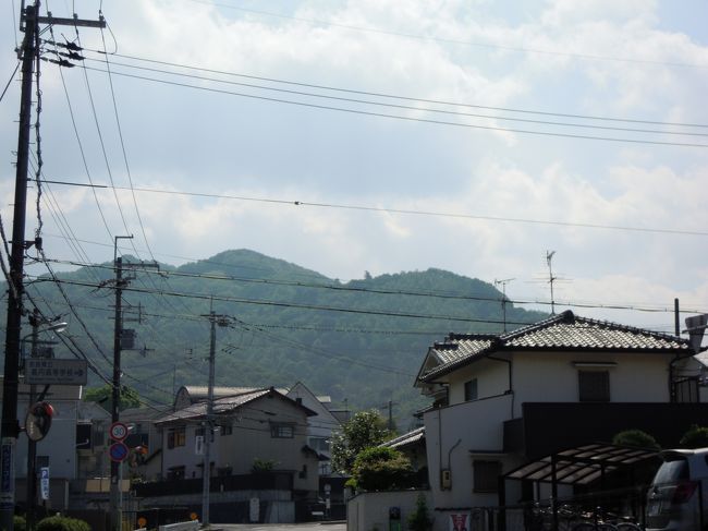 目の前に見える山。<br />「あれは高円山よね?」<br />と、もろずみさんに確かめる。<br /><br />山の形はどうも覚えられない私。<br /><br />ここで高円山の万葉歌がすぐに出てくるとカッコ良いんだけど、<br />えーと、私の好きな大伴坂上郎女の・・・狩高の高円山、、、が何だっけ?<br />ああ、ダメダメ全然出てこない。<br />たしか「月」が出てきたけど、ま、今まだ月が出てないからいいかっ。<br />むささび狩りの歌もあったよなあ。<br /><br />年は取りたくないものです。。。<br /><br />帰宅して調べたら<br /> 狩高の　高円山を　高みかも　出で来る月の　遅く照るらむ <br />(高円山は高いので月が山から顔を出すのが遅いのだ・・・そんな高い山でもないけど、単純な歌ですが古語なので趣があるように思えます)<br /><br />　　　　<br />ますらをの　高円山に　迫めたれば　里に下(お)りける　むささびそこれ<br />(勇士たちが獣を追って高円山までいったのだけれど、小さな獣を捕獲して里に下りてきました。その獣がこのむささびなんです・・・生け捕りにしたむささびは天皇に献上する前に死んでしまったそうです)<br /><br />でした、ふぅ〜<br /><br />