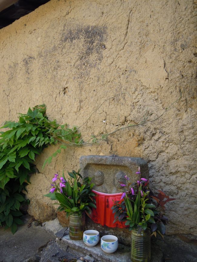 気を取り直して歩きます。<br /><br />崩れかけた黄土色の土塀に朝日が射して、<br />やっとお目覚の仲良し石仏。<br /><br />はな☆さんがと同じアングルで獲ったのもあるけど違うアングルで撮った写真を貼り付けます。