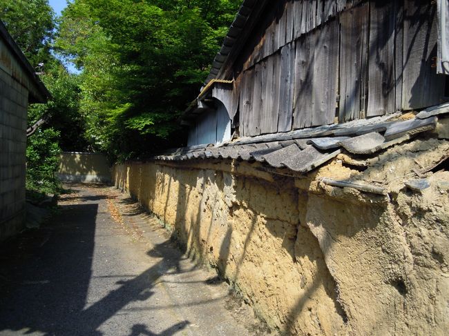 土塀の道、振り返って1枚。<br /><br />清々しい気持ちの良い朝です。