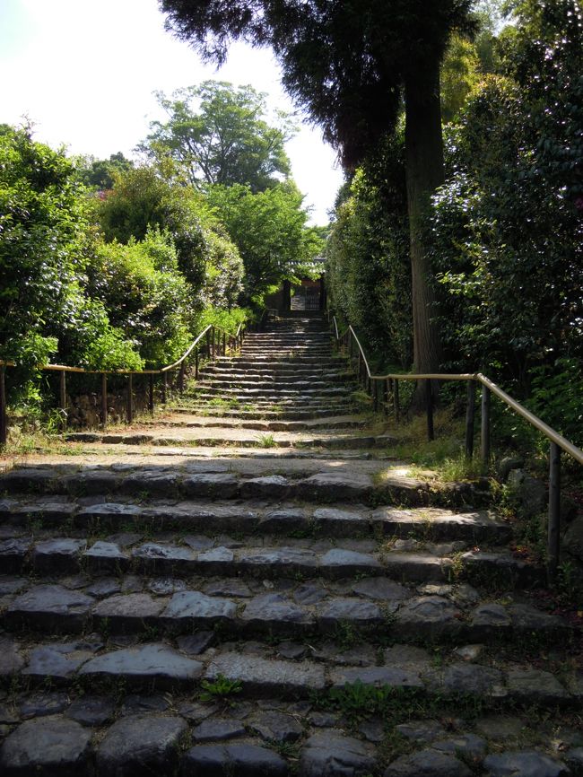 とんとんと石段を上って白毫寺へ。