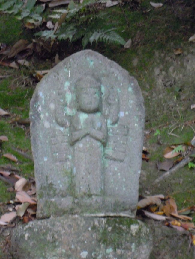 この子カワイイんだけど、ちょっとピンボケ。