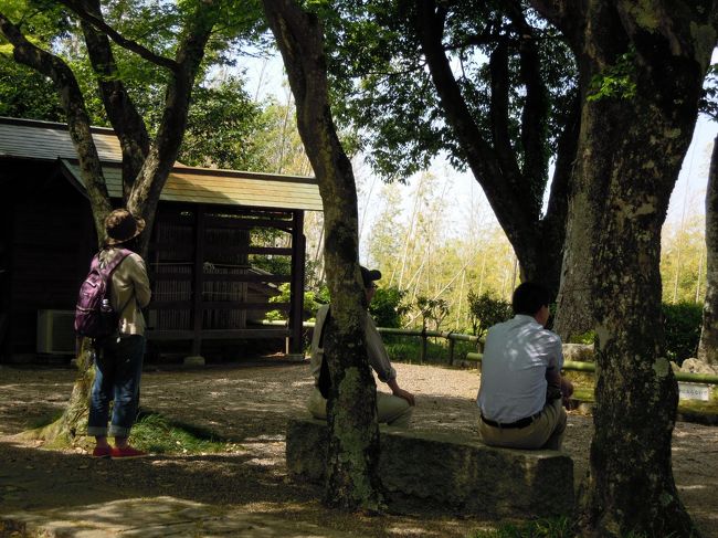 景色を眺めながらそれぞれ違う感慨に耽っている面々。<br />我ながら良い写真が撮れたでしょう♪<br />左から、はな☆さん、もろずみさん、NODAさん。<br /><br />萩や椿は有名ですが、紅葉もなかなか良さそう、とはな☆さんと話ました。。<br />はな☆さんならまた晩秋に来るのかも!