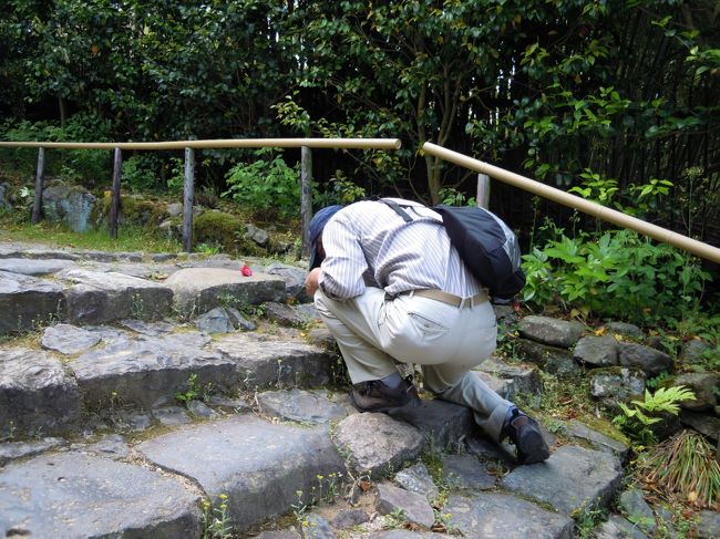 石段の途中で椿の花を置いて、<br />おぬし、また何やら細工しているな。<br /><br />その成果はもろずみさんの旅行記にUPされています。<br />http://4travel.jp/traveler/weekendwalker/pict/29189363/