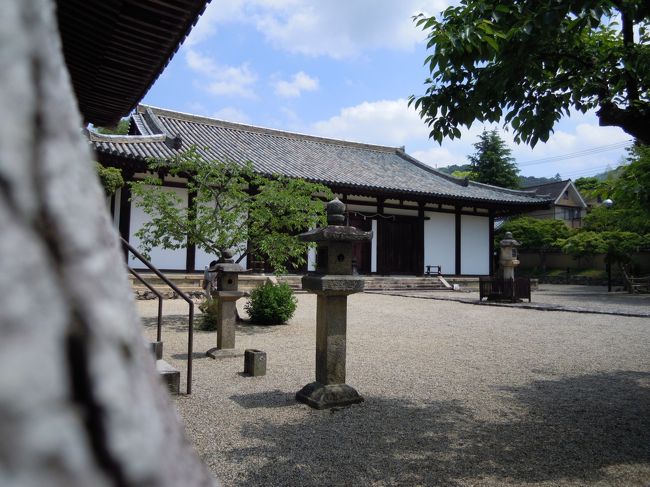 こう見るとお堂もなかなか良いのでは。<br /><br />大昔、友達の孝謙さんと新薬師寺に泊まったことがあります。<br />香薬師さんのお堂のある庫裏だったと思います。<br />五右衛門風呂なるものに入って面白かったですが、泊まるのは1回で良いと思いました。<br />というのも門限が早くて、外で夕食を焦って食べなければならないのが不便でした。<br />今ではもう宿坊やっていないようでした。<br />現在庫裏では新薬師寺の説明画像が流れています。