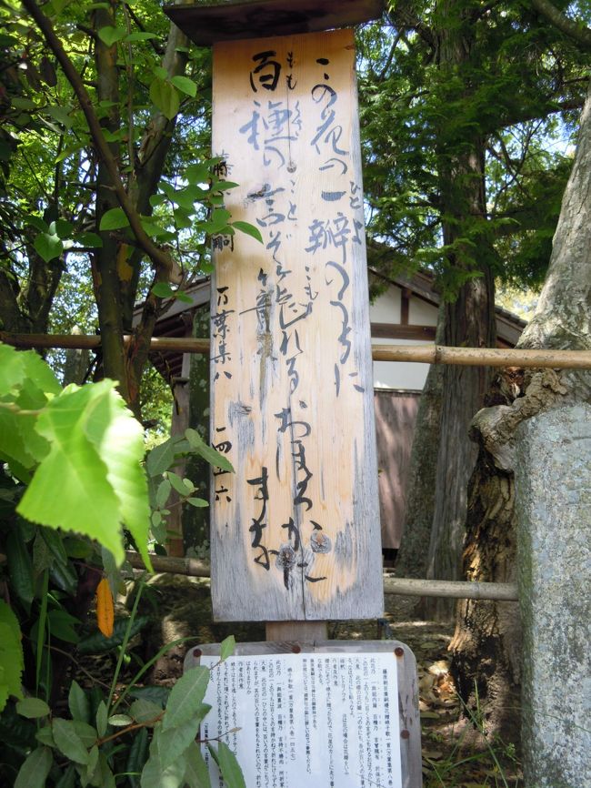 新薬師寺の門前に、旧鎮守社として鏡神社があります。<br /><br />橘諸兄や吉備真備を排除しようとして北九州大宰府で反乱を企てた藤原広嗣<br />が祀られています。<br />広嗣の怨霊を鎮めるために祀られてむいるのでしょうか。<br />奈良には怨霊を鎮める御霊神社が多くて楽しい。<br /><br />広嗣の和歌が書かれてありました。<br />万葉集に載せられている歌です。<br /><br />この花の一枝(ひとよ)のうちに百種(ももくさ)の言(こと)ぞこもれるおほろかにすな（万8-1456）<br /><br />桜り花を娘子に贈った歌、恋の歌ですね☆<br /><br />この時代の人たちは無念の死を遂げた悲劇的人物も政界の腹黒たちも、みんなせっせと恋愛に励んでいて相聞歌を詠んでいる点が好きだ〜!<br /><br /> 