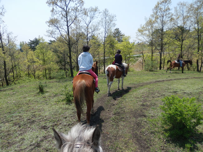 ３人でそれぞれ順番に一列で、自分はあし毛の大人しいお馬さんでした。<br />とっても気持ちよく高原を散歩しました。