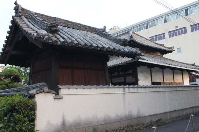 横からも１枚。