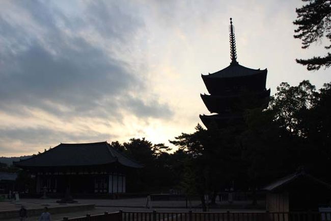 朝日を背に…。東金堂と五重塔