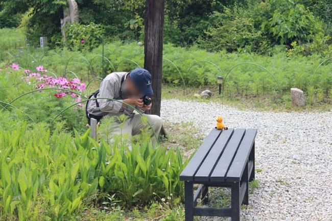 振り返ってみれば…。<br />もろずみ氏が、記念撮影をしてました。<br />グラビアアイドルを撮る様に？！…<br /><br />「いいねー、そうその感じ！」<br />「ニコッ。引きつるから早く取ってね」<br />「いいねー、いいねー」<br />なぁーんて言ってるみたいな雰囲気でしたねー。