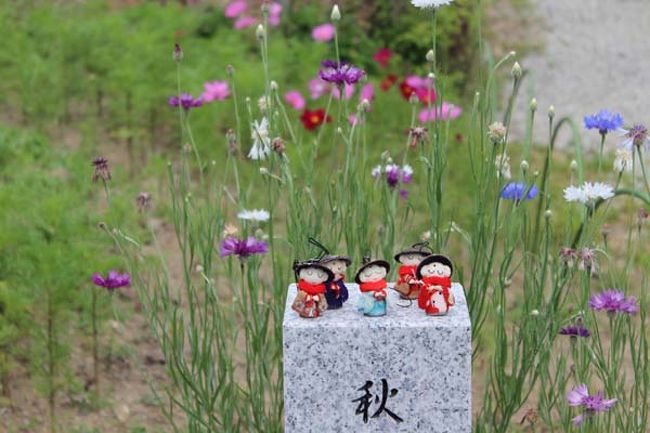 「ご挨拶は、終りましたかぁー。集合写真ですよーー」<br />「なんと忙しいヤツじゃのー、それでは失礼…」<br /><br />はい、皆で記念撮影！　はいチーズ！<br />（やれやれ…あちこちで撮られて難儀じゃなぁーみなさん）<br />（ほら、笑ってないと、内緒話がバレますぞ）<br />（おーそうじゃった）